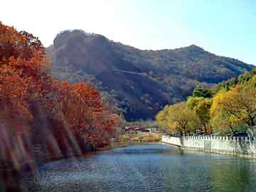 新澳天天开奖资料大全旅游团，日本带锯